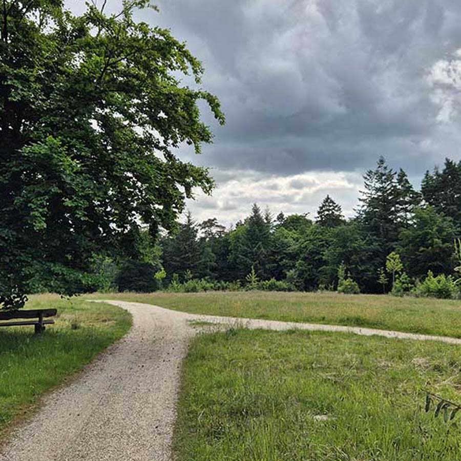 Symbool voor een urnengedenkpark in de natuur